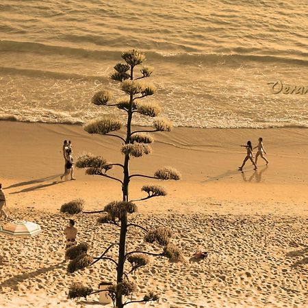 Apartamento Velarde II Conil De La Frontera Dış mekan fotoğraf